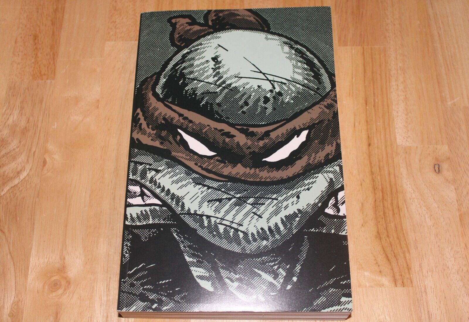 Teenage Mutant Ninja Turtles Collected Book Volume One (Paperback, 2009)