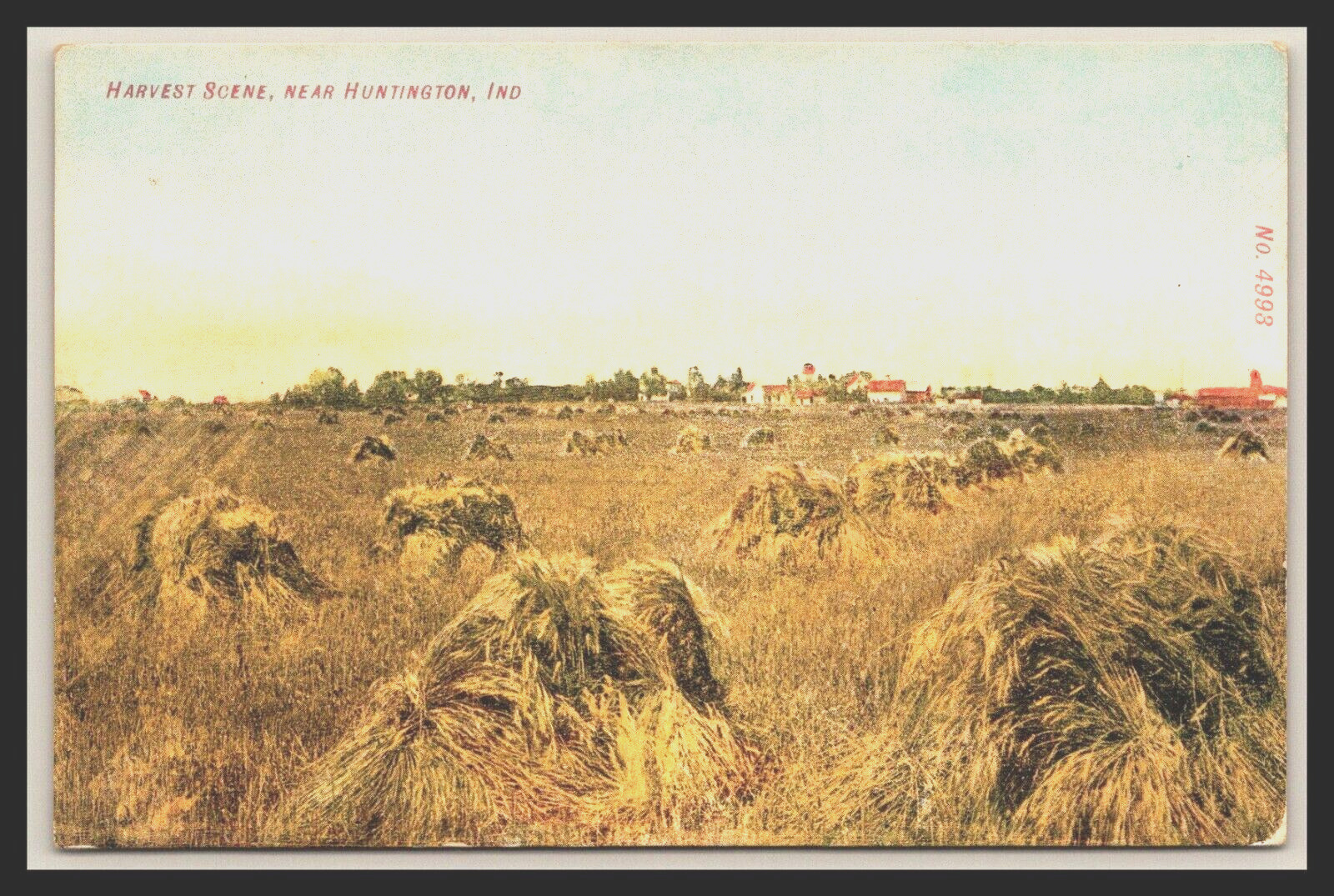 Historic HARVEST SCENE near HUNTINGTON INDIANA Farmhouse in Distance DB 1907-15