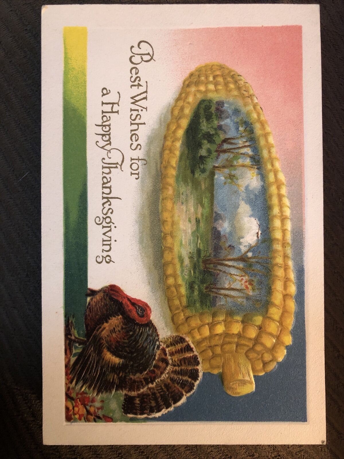 c1900s Best Wishes For Thanksgiving Winsch Schmucker Antique Embossed Postcard