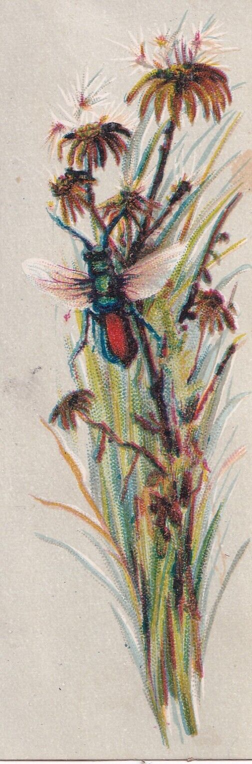 1800\'s Victorian Bookmark Card -Flying Insect on Flowers