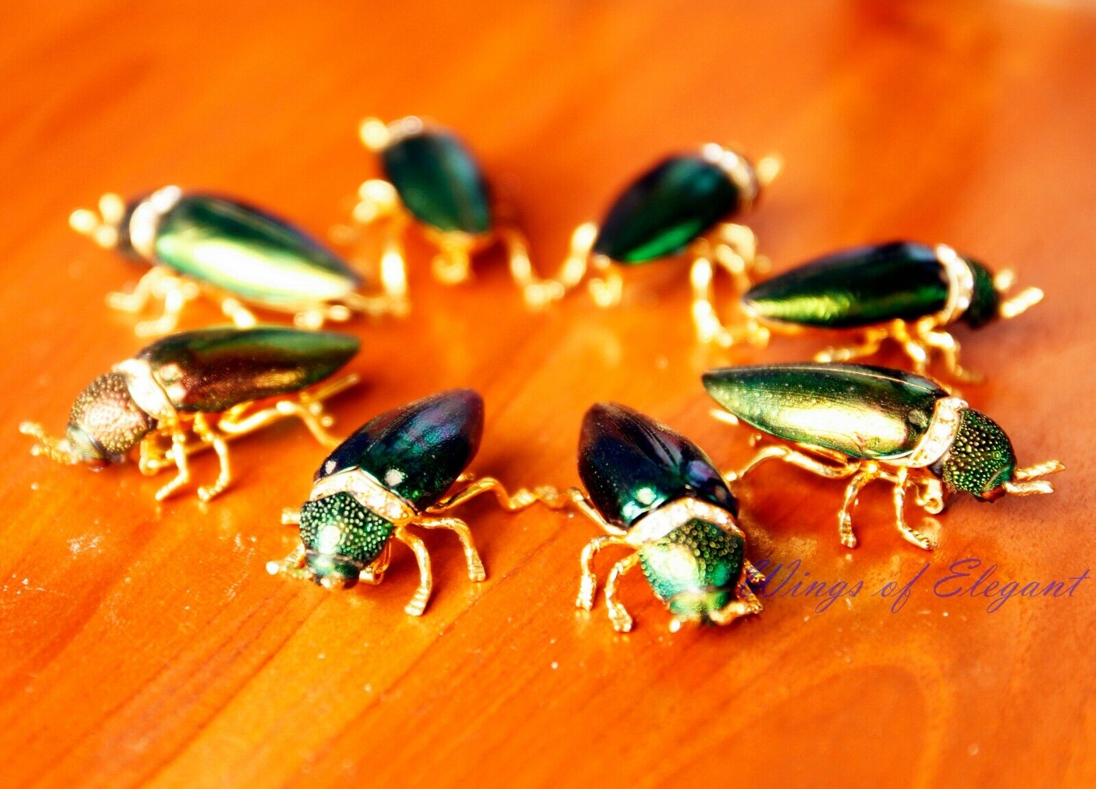 12 Pcs Real Iridescent Green Jewel Elytra Beetle Rhinestone Lady Vintage Brooch