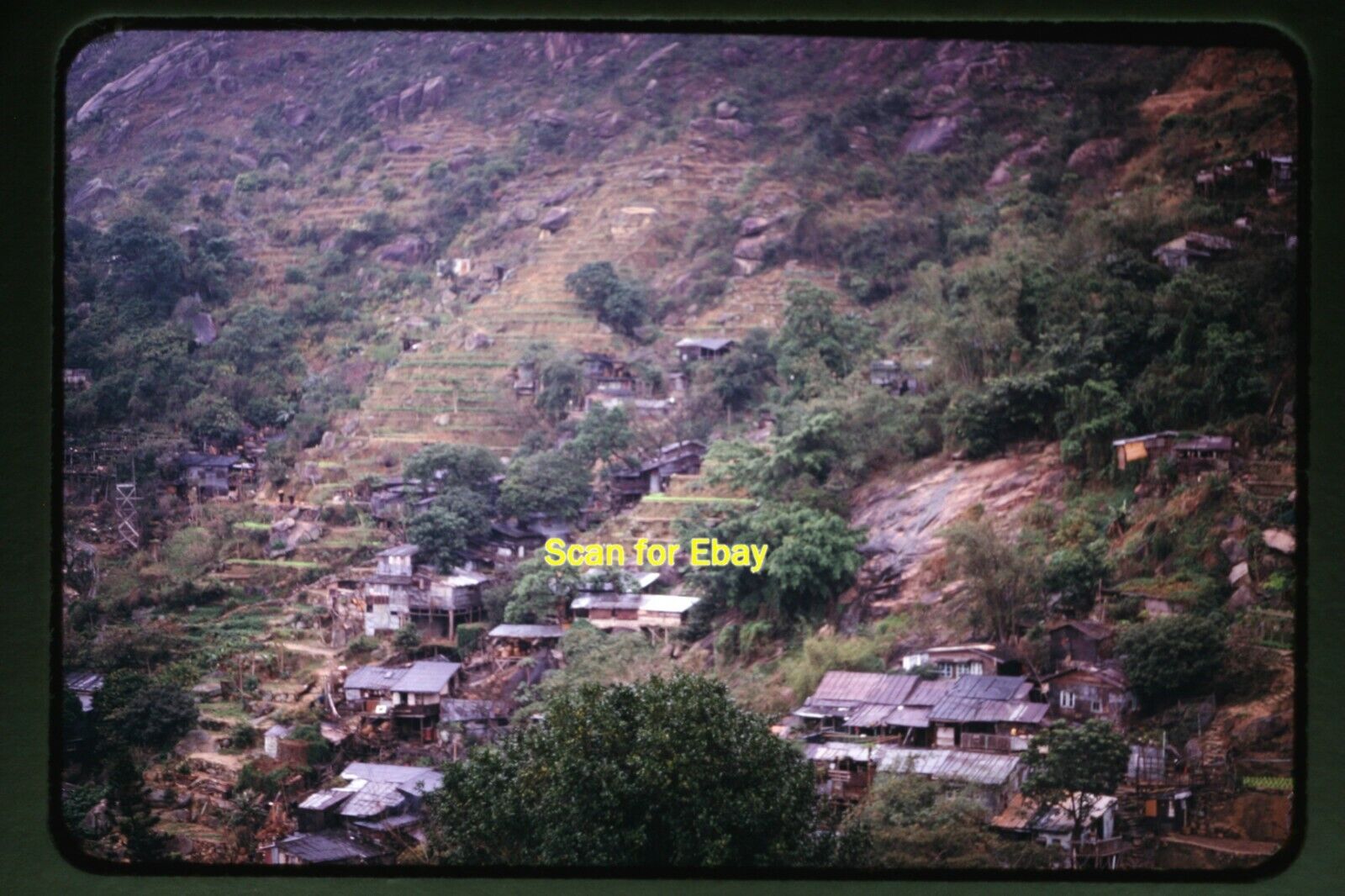 Hong Kong, Homes on Hill in 1969, Original Slide aa 1-23b