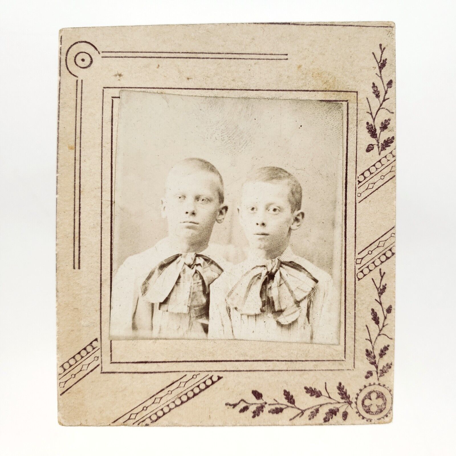 Bewildered Twin Brothers Photo c1905 Card Mounted Big Bows Antique Kids A3293