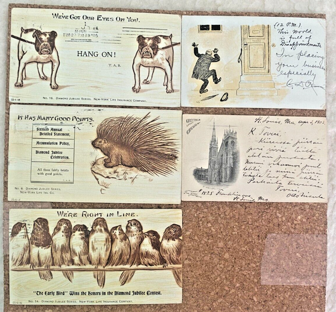 1900\'s Antique Postcards Ancienne Carte Postale Lot Of 5 Comic Funny 1903-1905