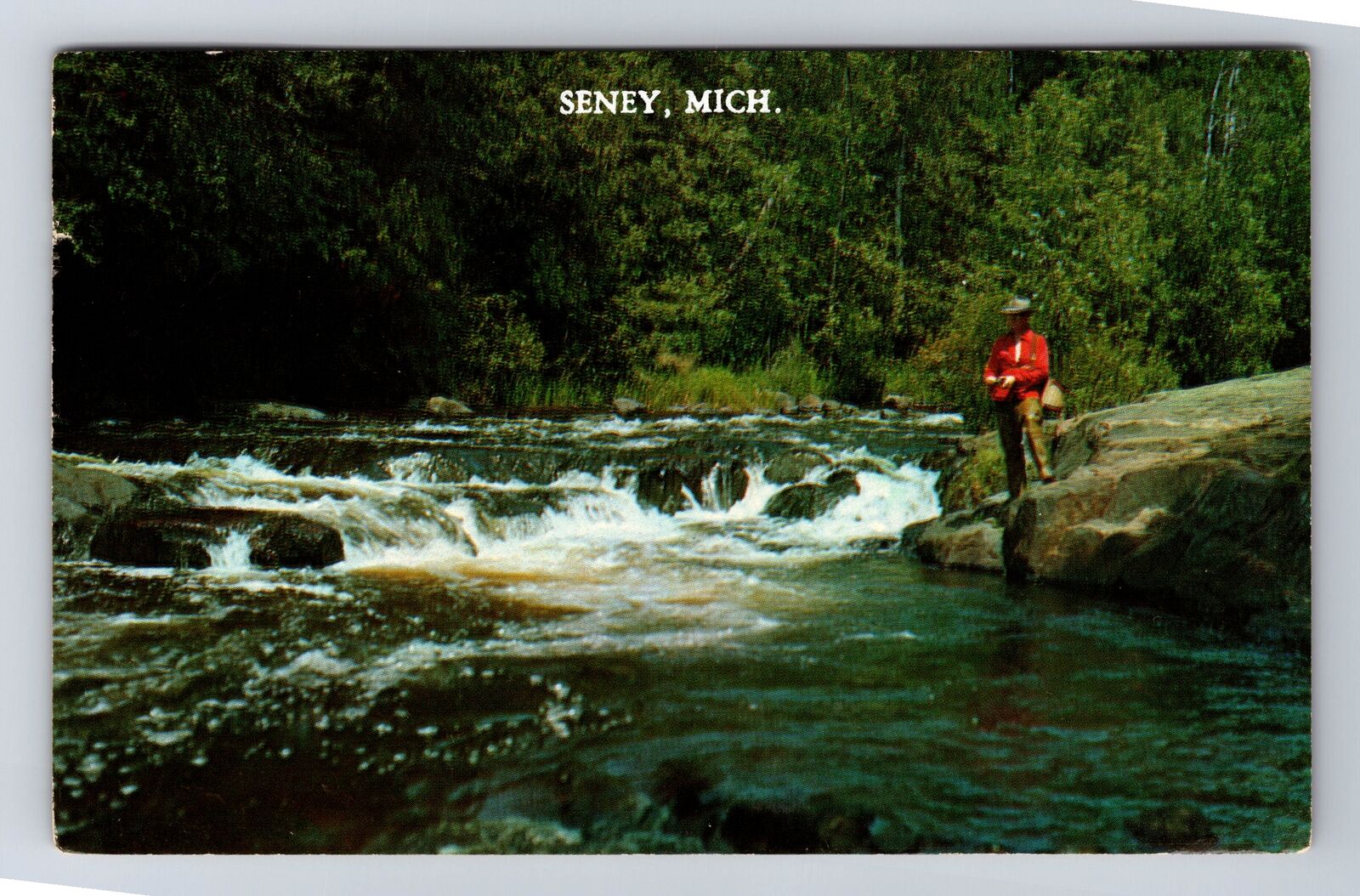 Seney MI-Michigan, Fishing for Trout in Stream, Antique Vintage c1977 Postcard