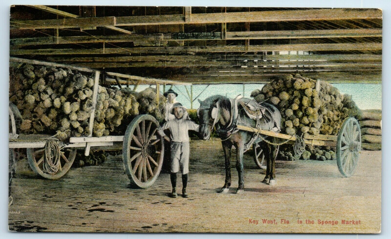 Postcard Key West, Florida in the Sponge Market wagons horse A192