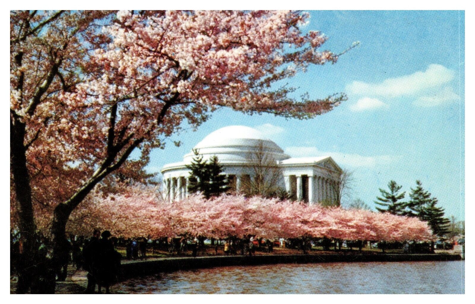 postcard Jefferson Memorial Washington D. C. 8598