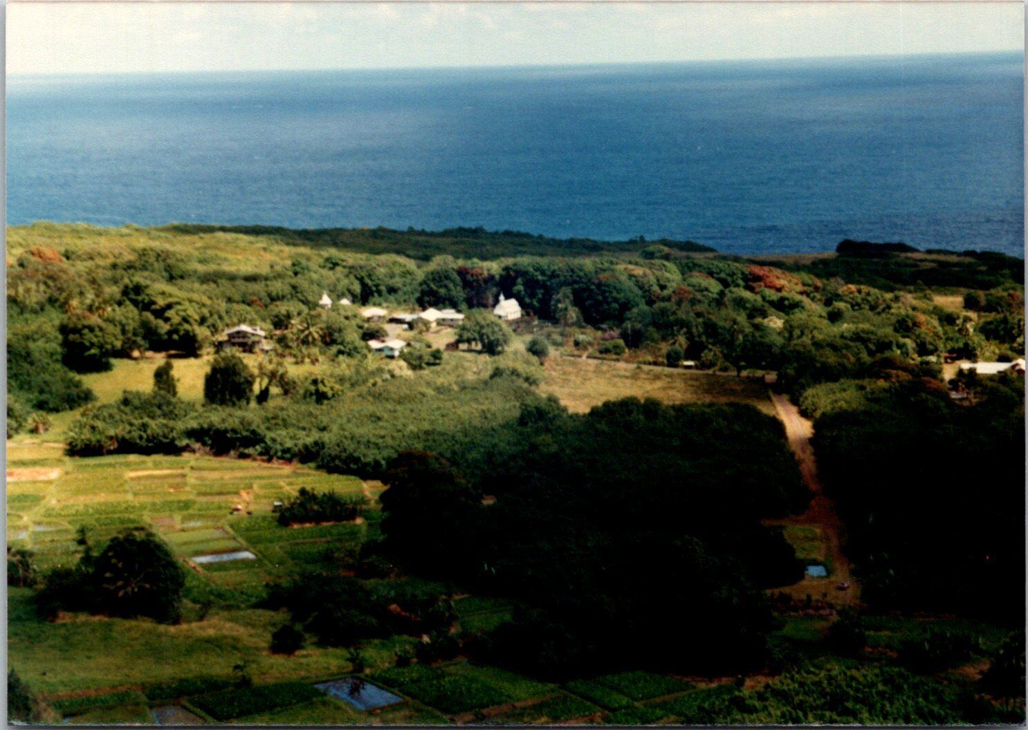 View of landscape & ocean coastline in Hawaii Found Photo V1363
