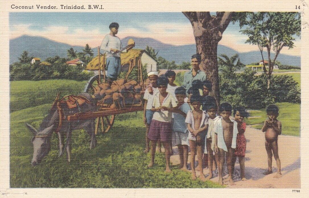 Trinidad, B.W.I. Coconut Vender with Group of Children, Unused Linen Postcard