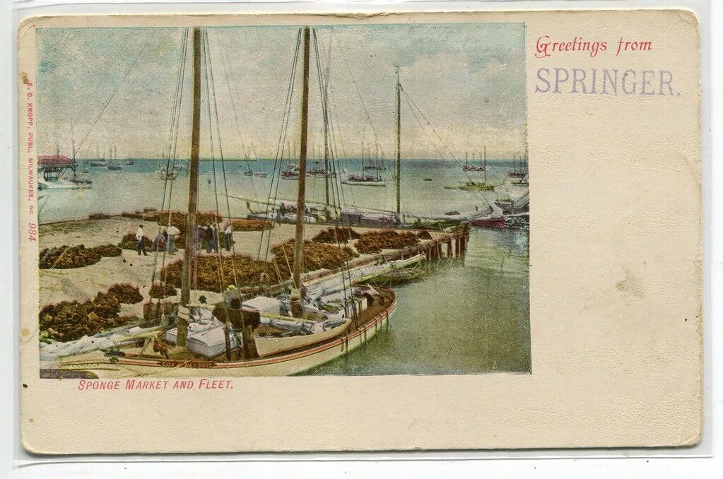Sponge Market & Fleet Florida 1908 postcard