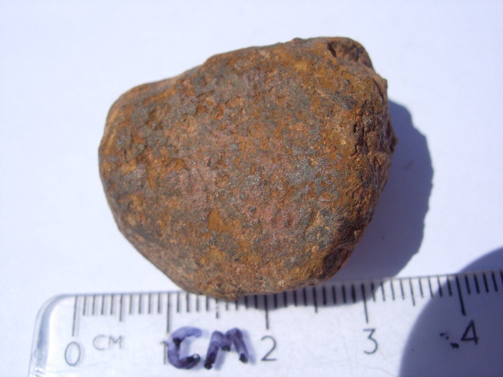 22.2 grams Gold Basin meteorite as found (class L4) Arizona 1995 with a COA