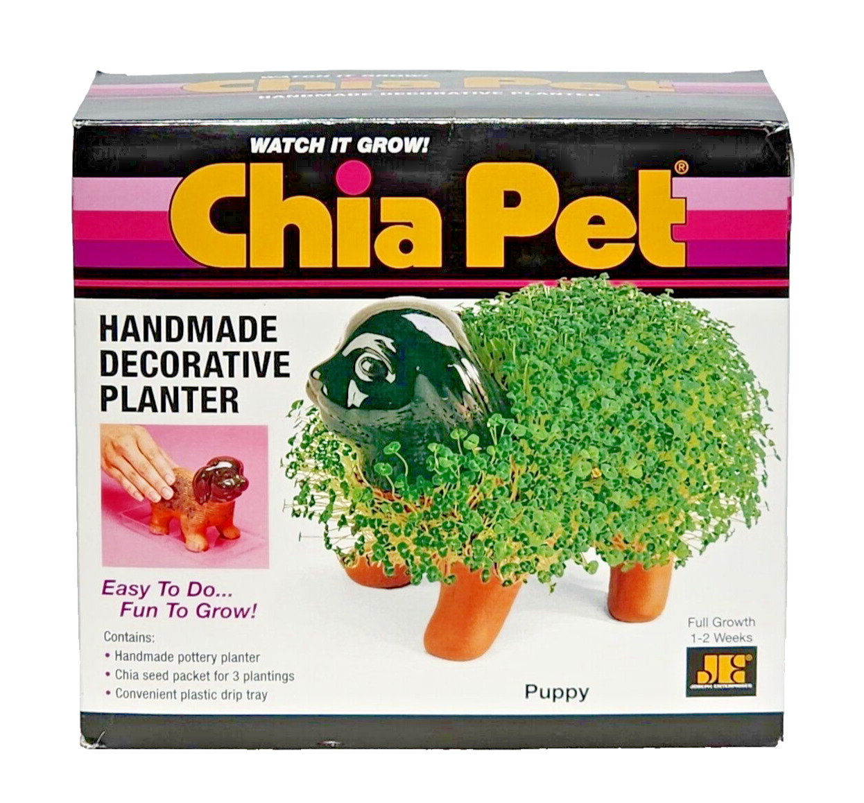 Chia Pet Original 2012--Hand Made \