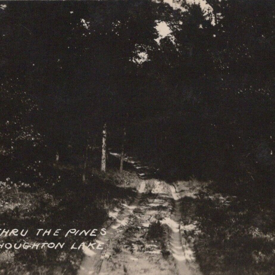 1920s RPPC Drive Through The Pines Houghton Lake Roscommon County MI Postcard