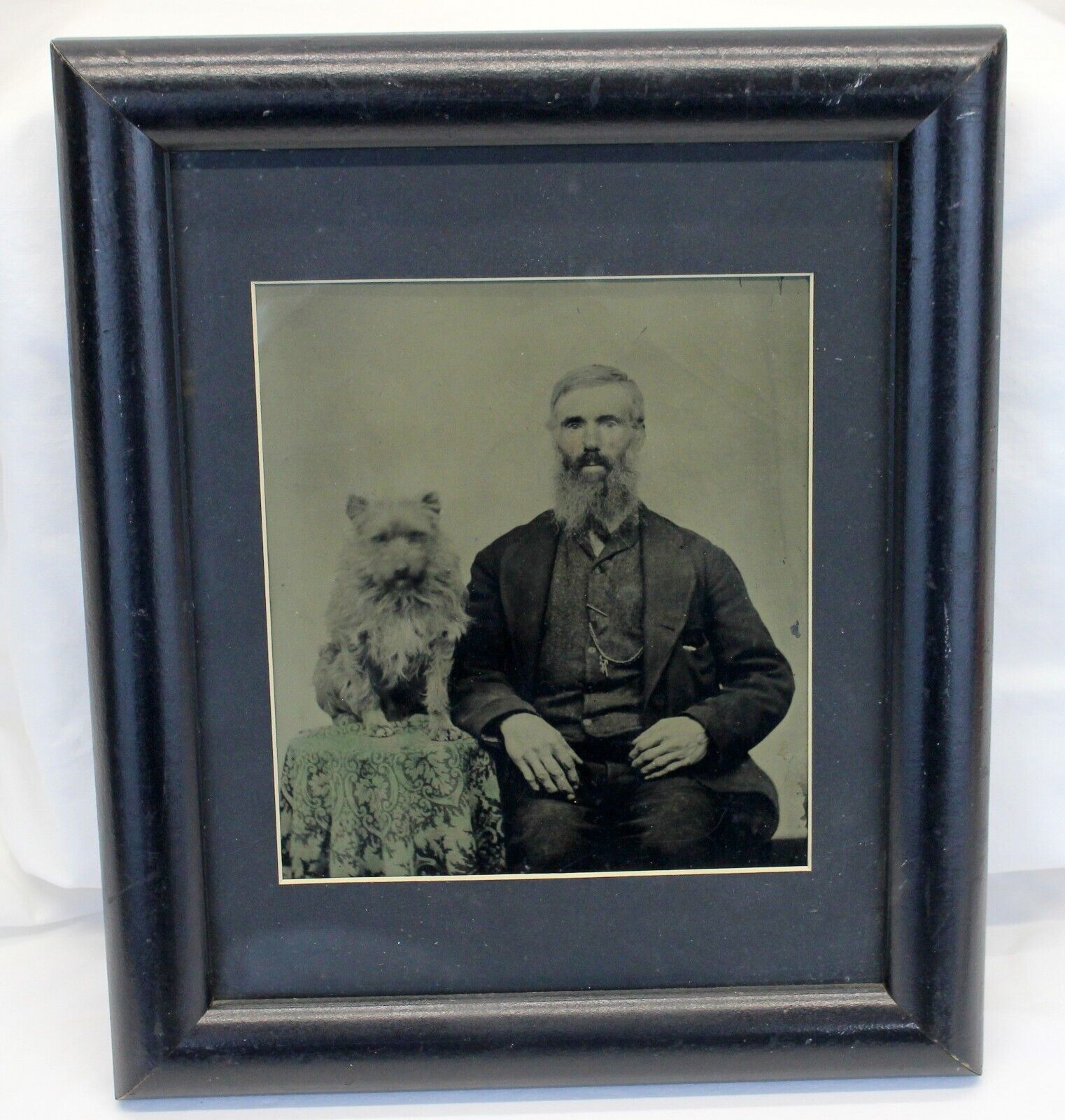 antique FULL PLATE Tintype Photograph OLD MAN & DOG Seated LARGE Framed Old
