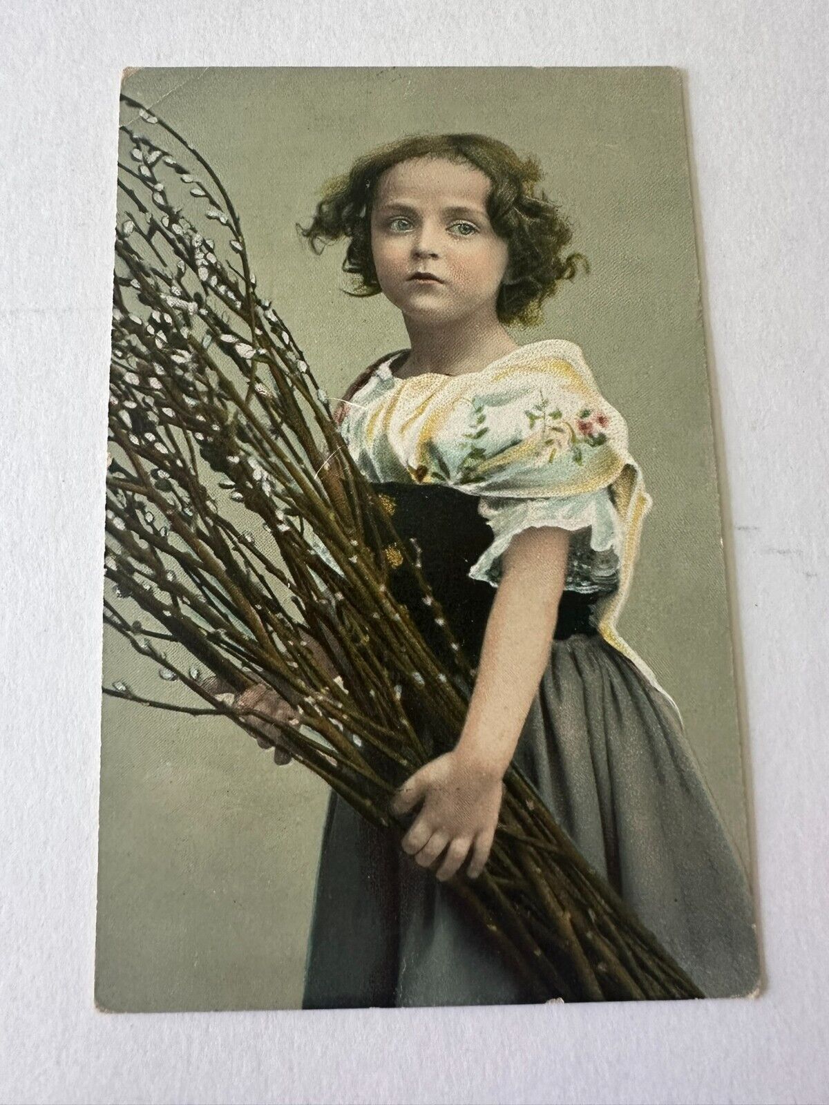 Prudential Post Card & Novelty Co., New York & Leipzig Girl with Pussywillows