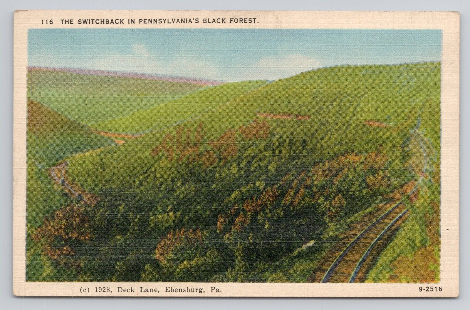 The Switchback in Pennsylvania\'s Black Forest Linen Postcard No 5014