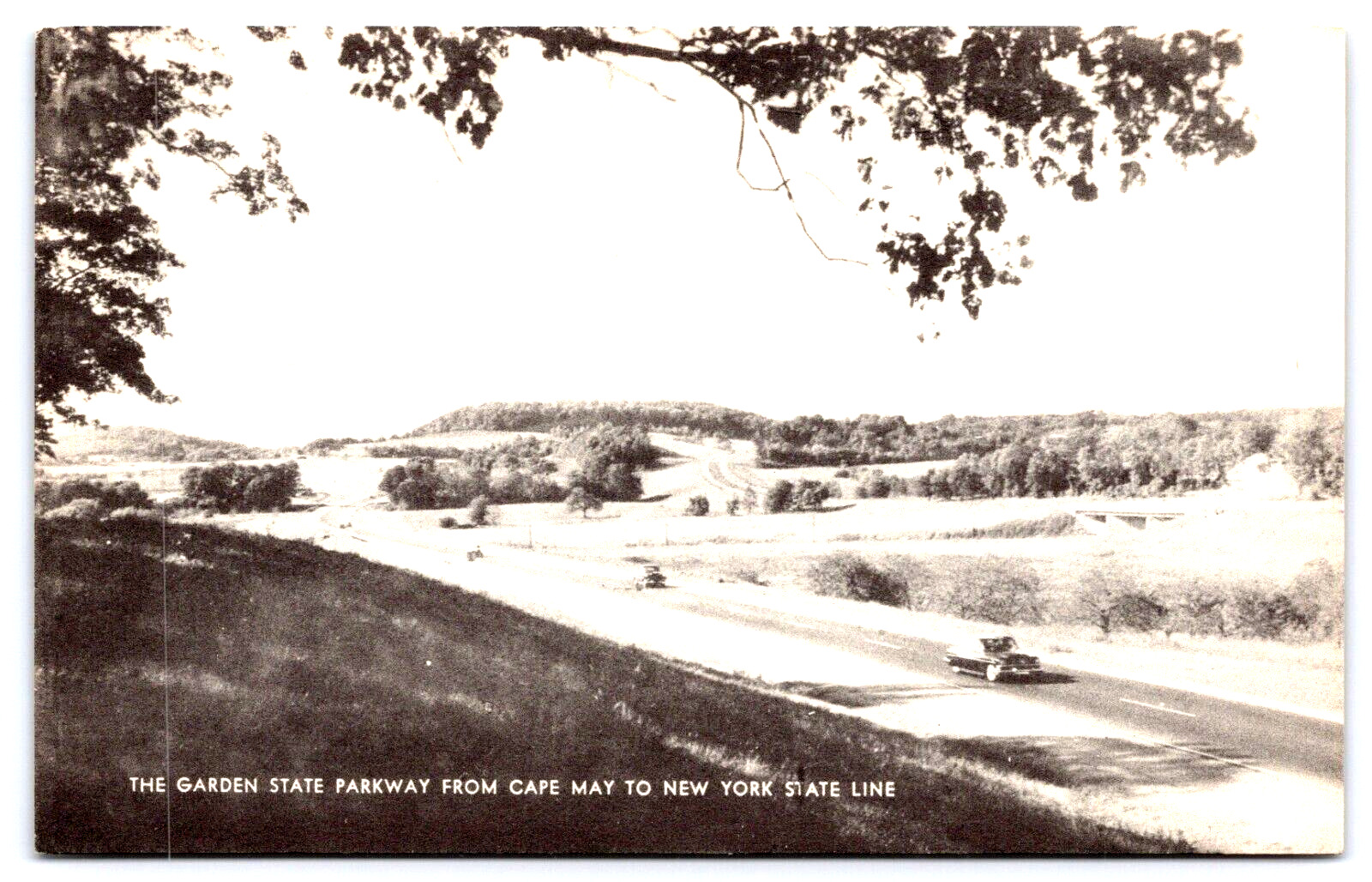 Postcard Cape May New Jersey The Garden State Parkway to New York State Line