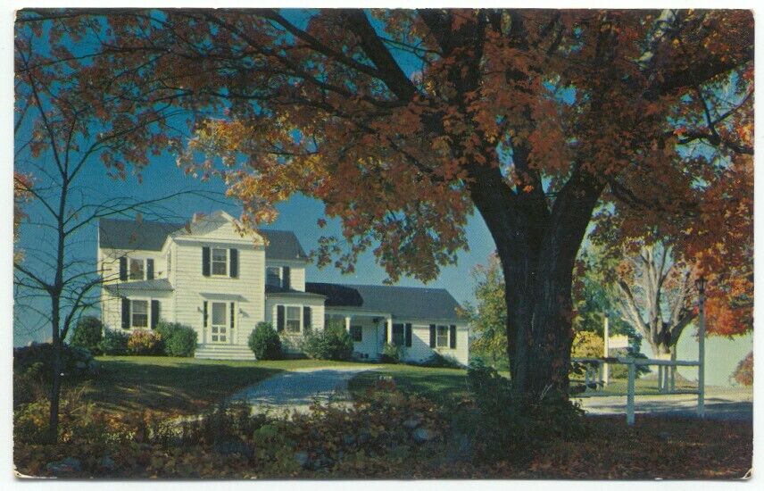 Salisbury VT Holiday Hill Guest House and Cottages 1960s Postcard Vermont