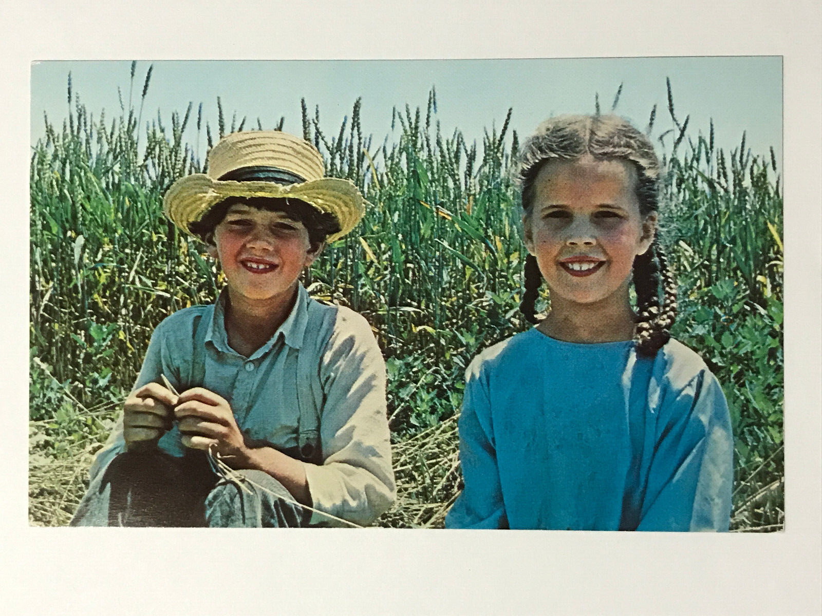 Postcard Amish Children Brother Sister Posing In Field Prior To Harvest c1960s