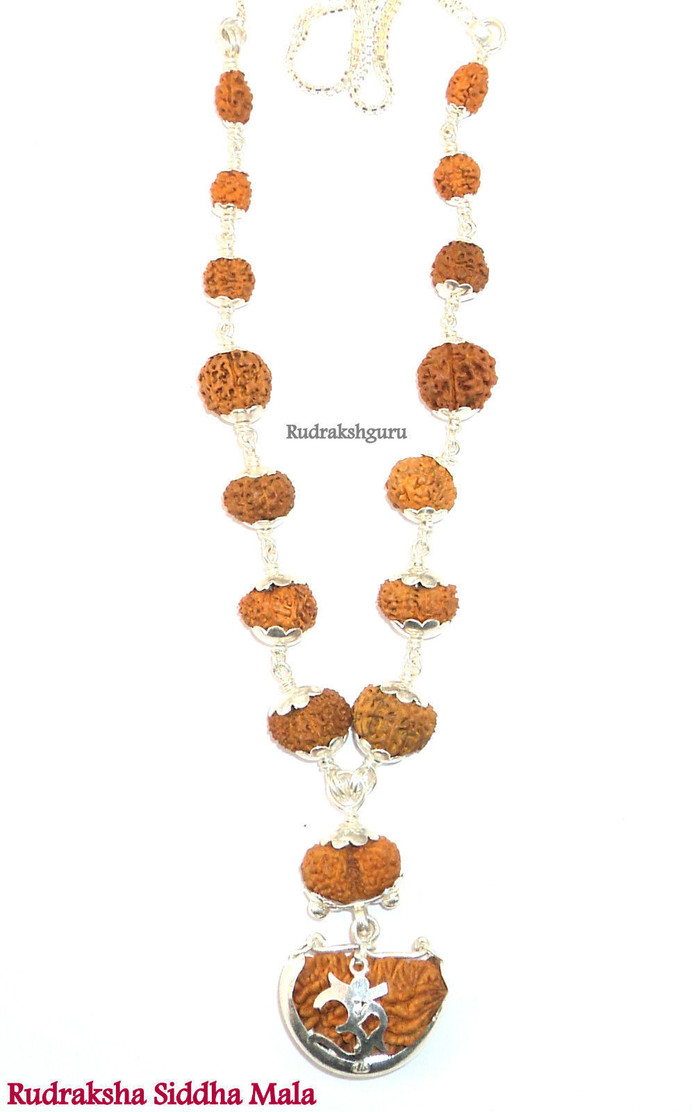 Rudraksha Siddha Mala - Java Beads {1 till 14 Mukhi Rudraksh} - Lab Certified