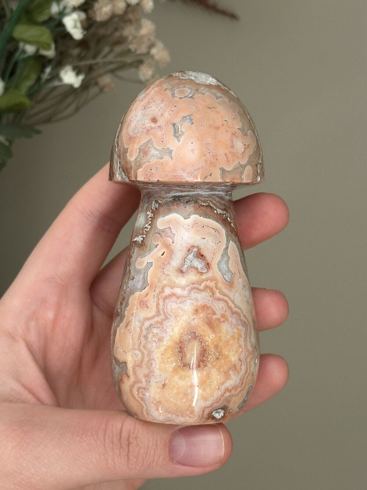 XL peachy indonesian crazy lace agate mushroom carving 🍑 polished crystal