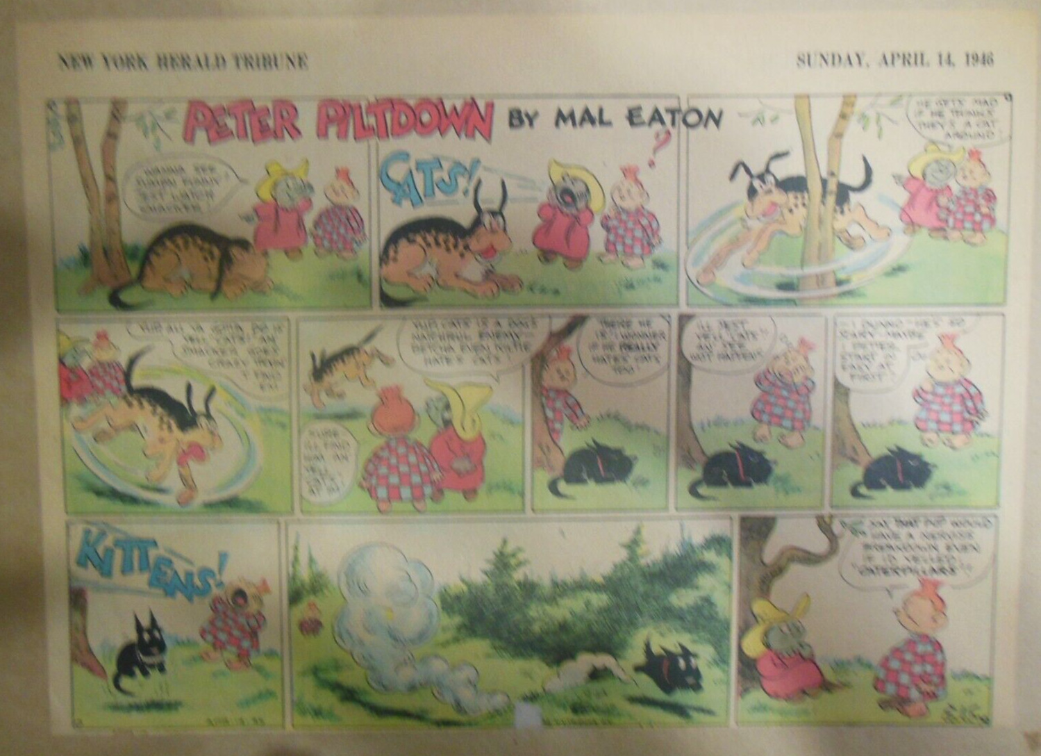 Peter Piltdown Sunday Page by Mal Eaton from 4/14/1946 Size: 11 x 15 inches