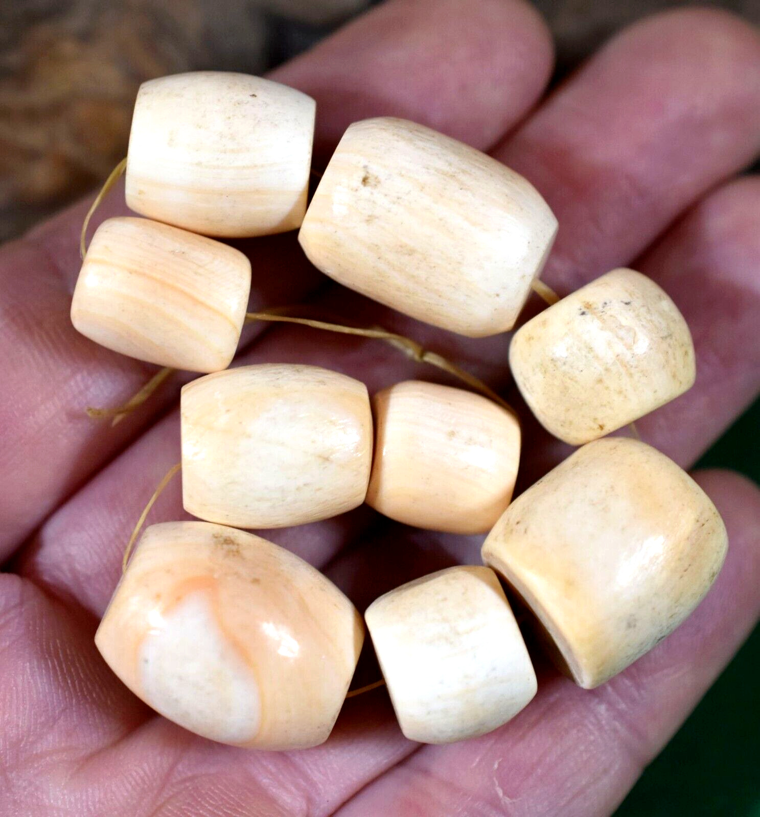 Antique Hand Carved Mauritanian Conus Shell African Trade Beads From Mauritania