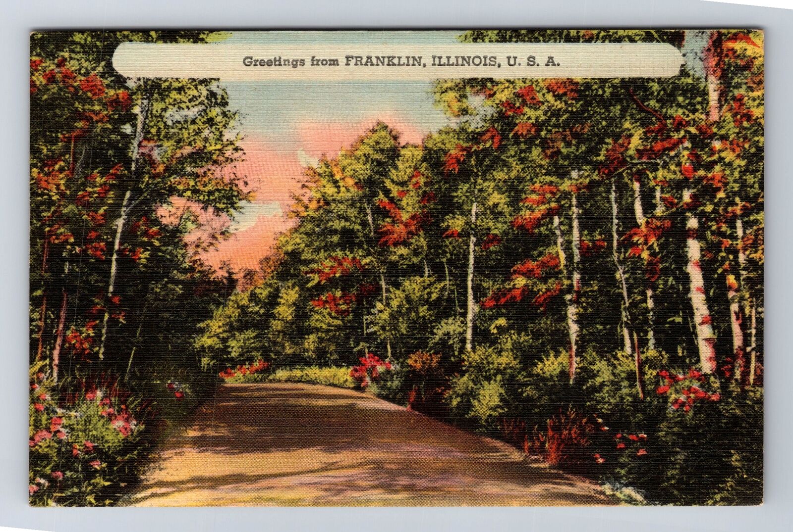 Franklin IL-Illinois, General Greeting, Generic Country Lane Vintage Postcard