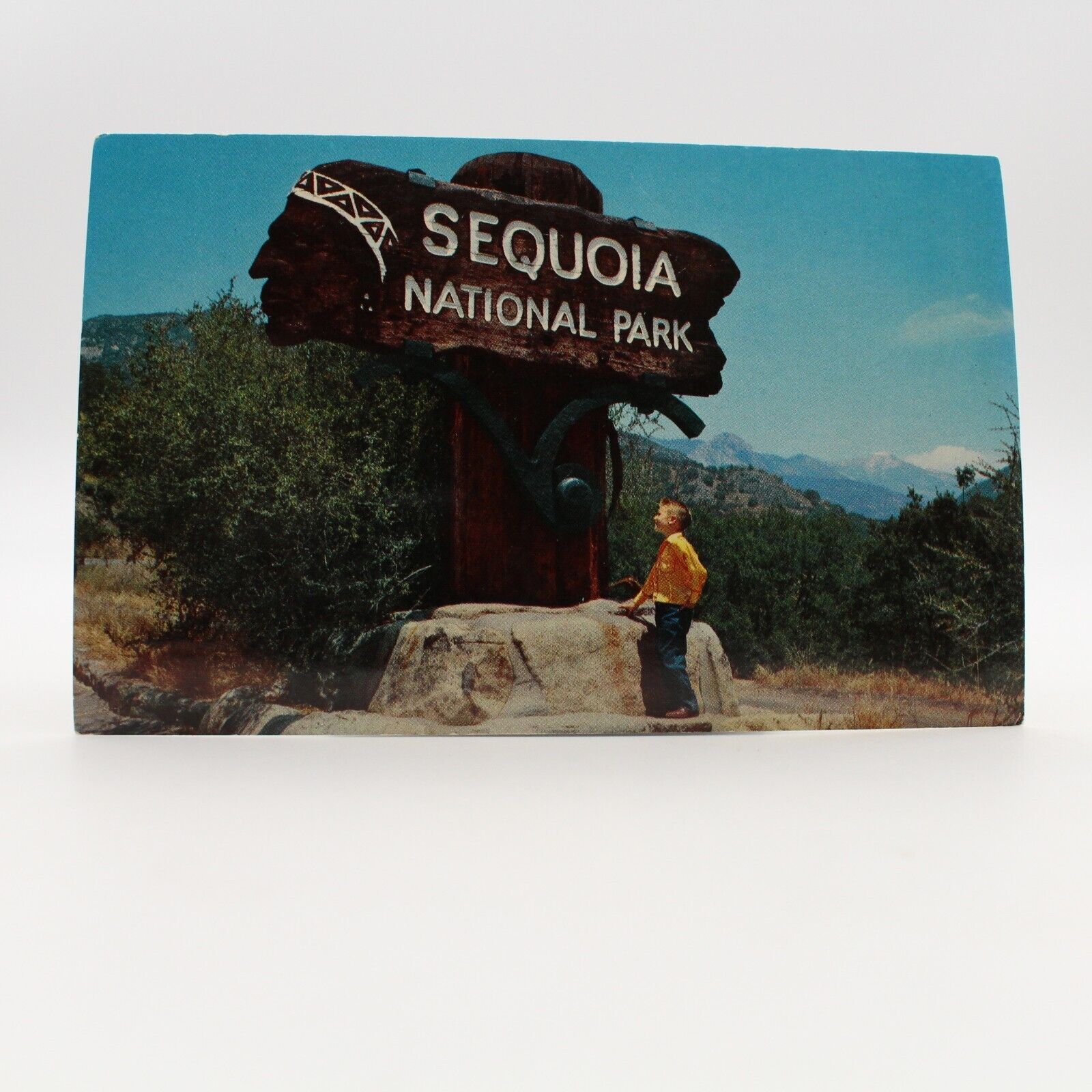 Sequoia National Park CA-California, Entrance to Park, Unposted Vintage Postcard
