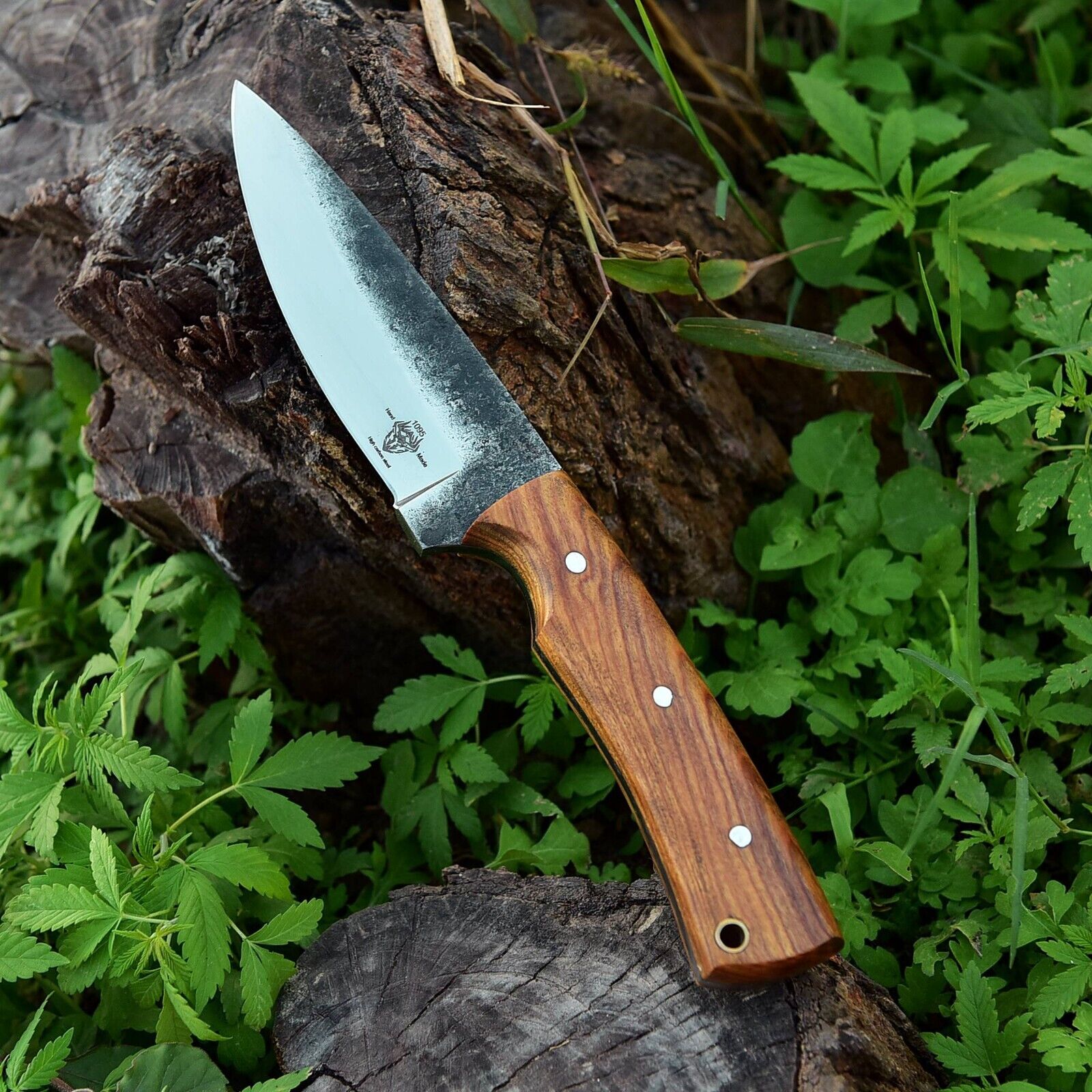 Custom Hand forged High Carbon 1095 Steel Hunting Knife with Olive wood Handle