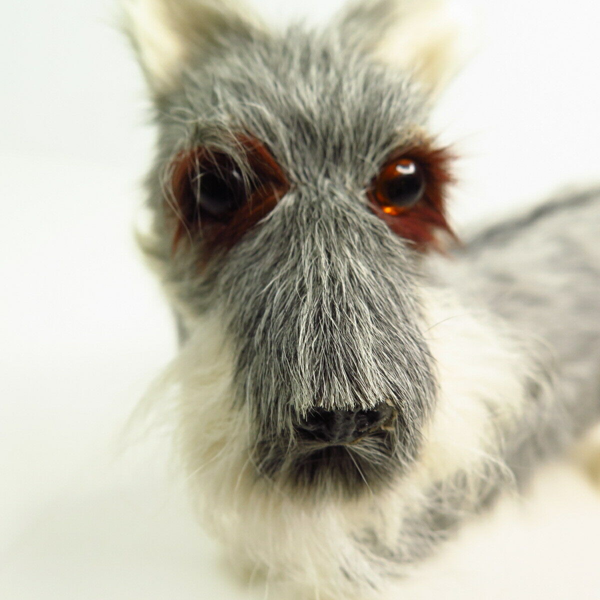Vintage Scottish Terrier Gray White Scottie Dog Real Fur Glass Eyes 7.25\