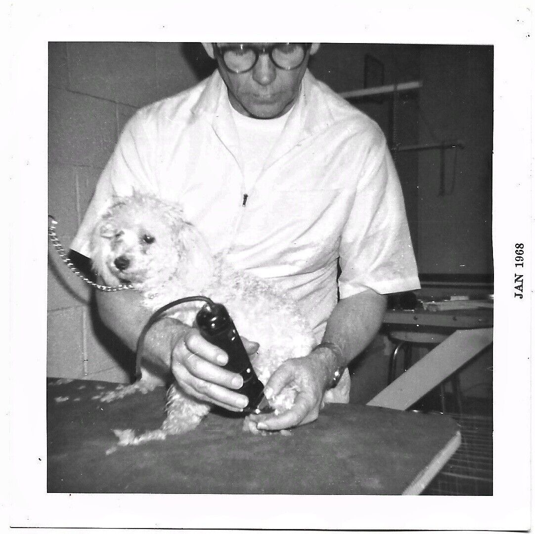 Vintage Old 1960s Photo of Man DOG Groomer Trimming Poodle Fur Paws JOHN SMITH