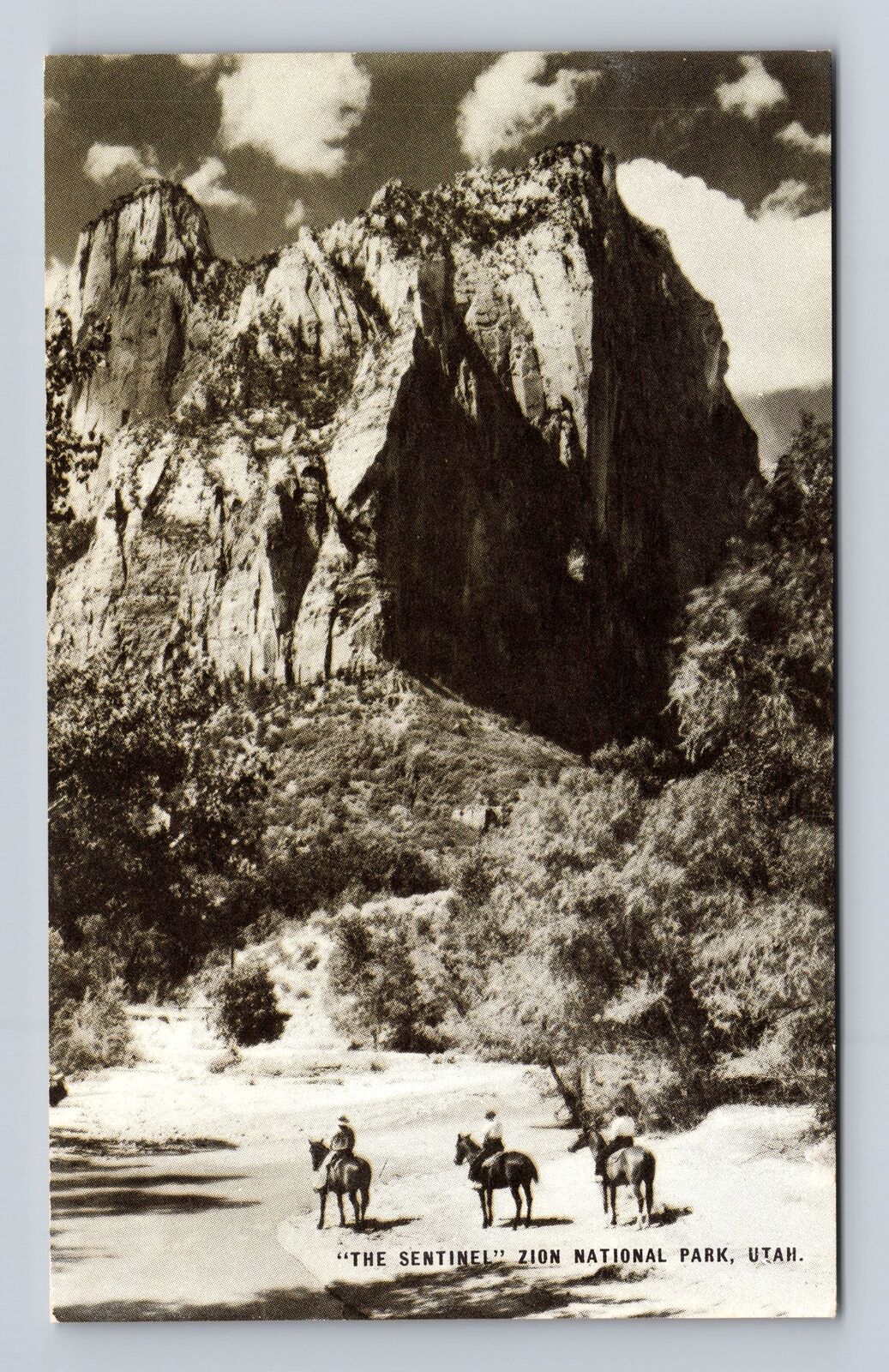 Zion National Park, The Sentinel, Antique, Vintage Souvenir Postcard