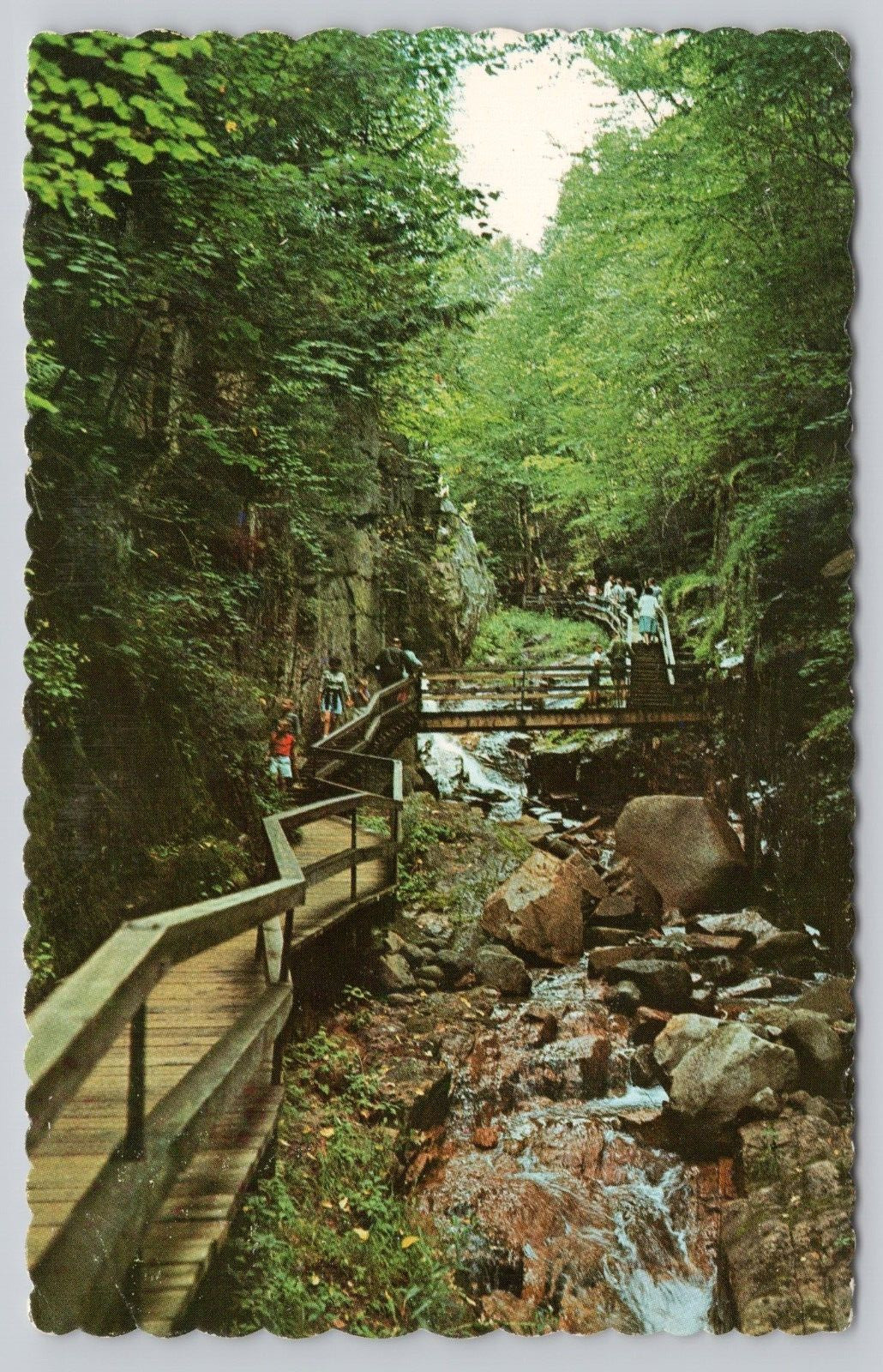 The Flume Gorge Franconia Notch New Hamshire Vintage Postcard scalloped