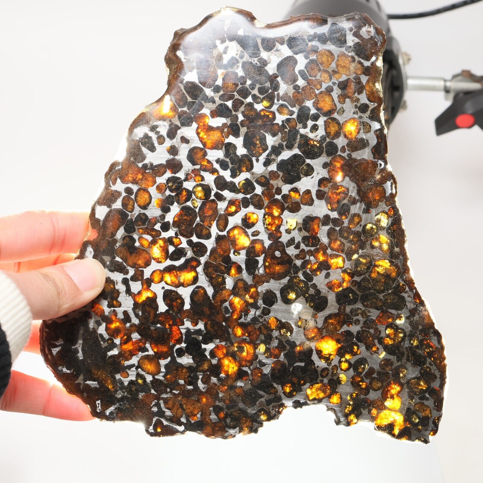 222g Beautiful SERICHO pallasite Meteorite slice - from Kenya C6994