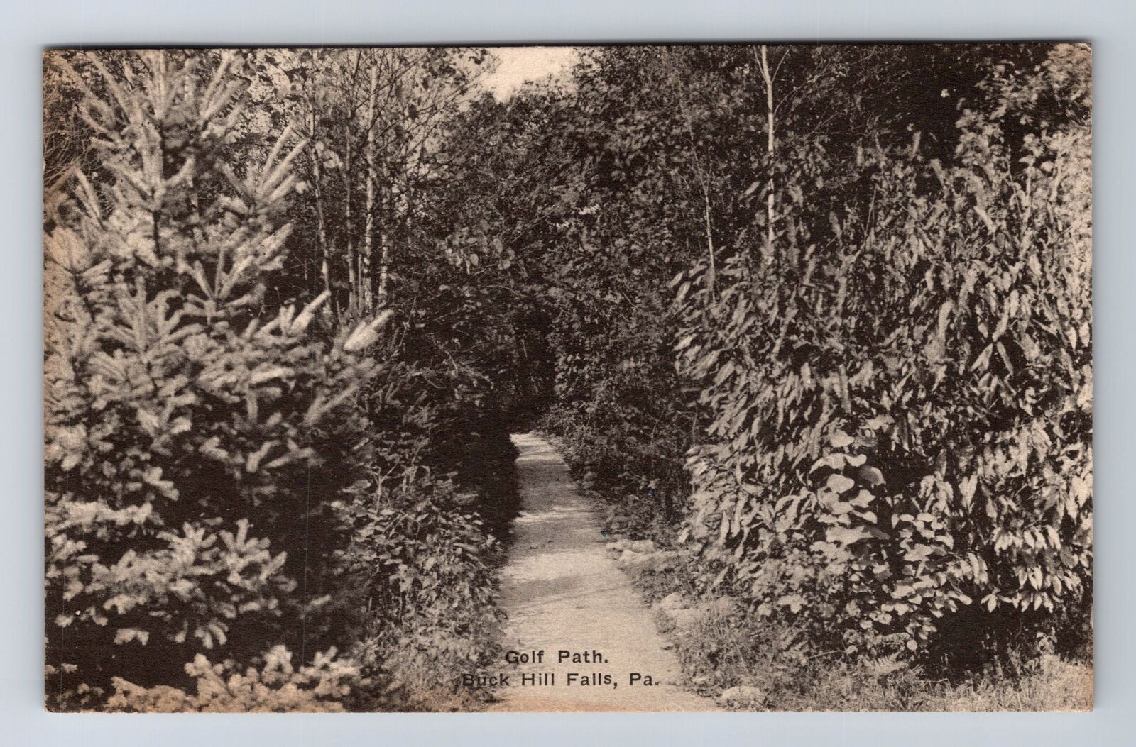Buck Hill Falls GA-Georgia, Golf Path, Antique, Vintage c1922 Postcard