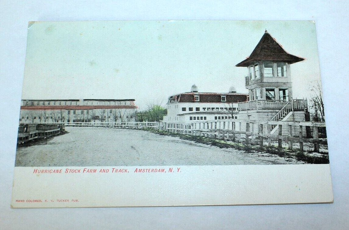 Hurricane Stock Farm and Horse Track Vintage Hand Colored Postcard, Amsterdam NY