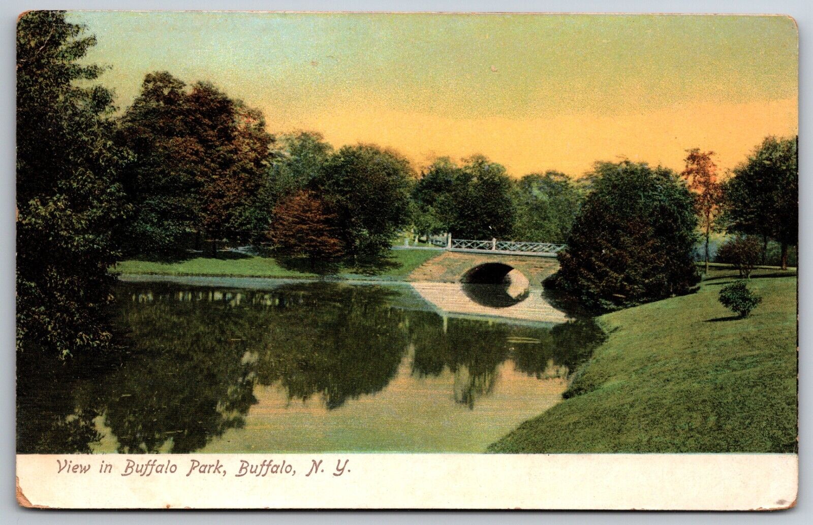 view of Buffalo Park New York Illustrated Postal Card UDB Germany Made Postcard