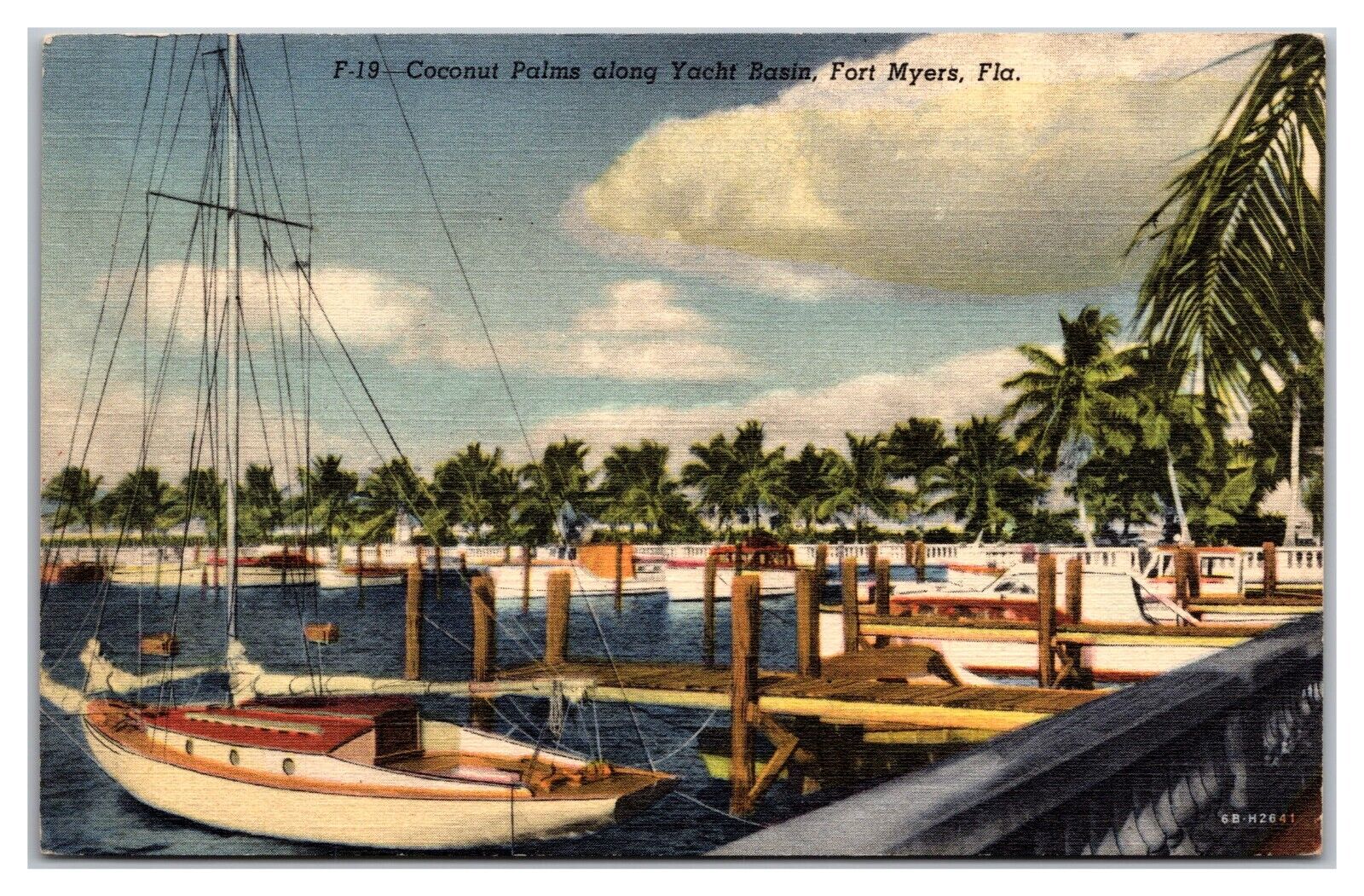 Coconut Palms Along Yacht Basin, Fort Myers, Florida
