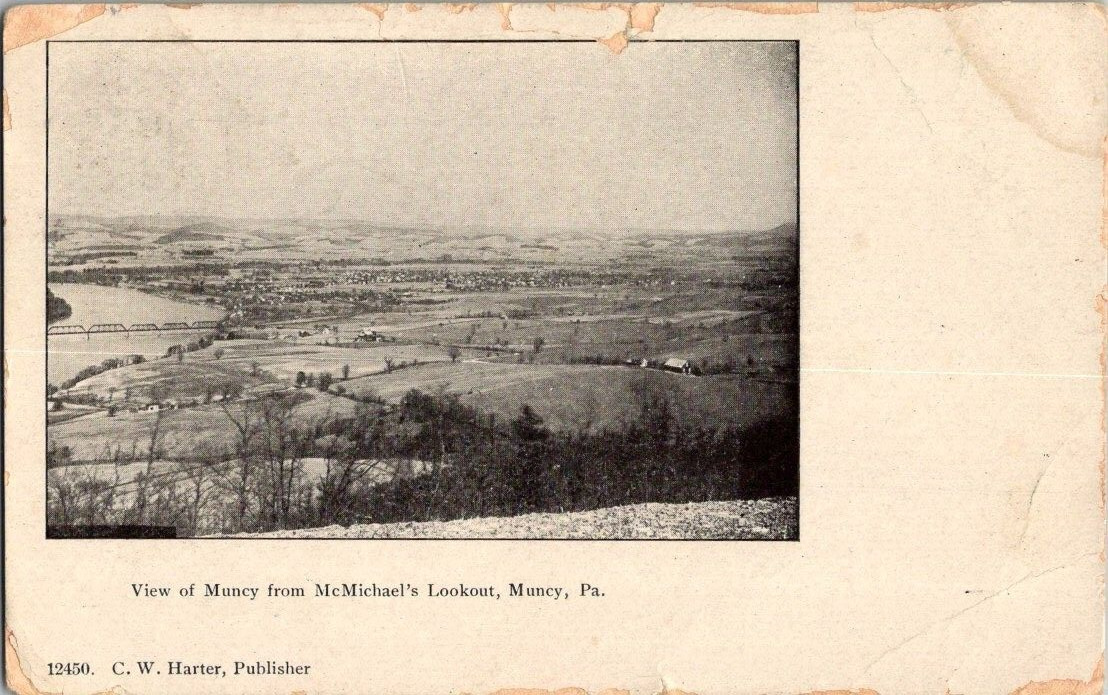 1910 RPPC ARIEL VIEW OF MUNCY PA MCMICHAELS LOOKOUT A4
