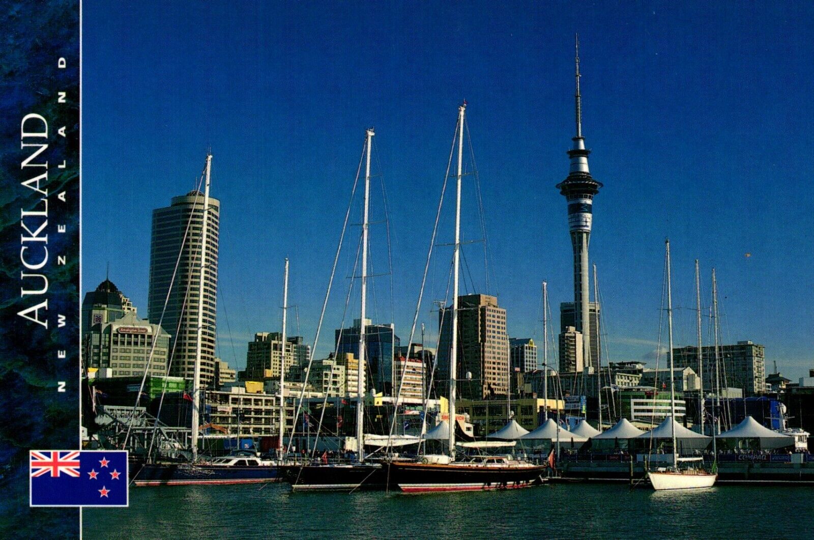 America\'s Cup Village Auckland New Zealand Postcard