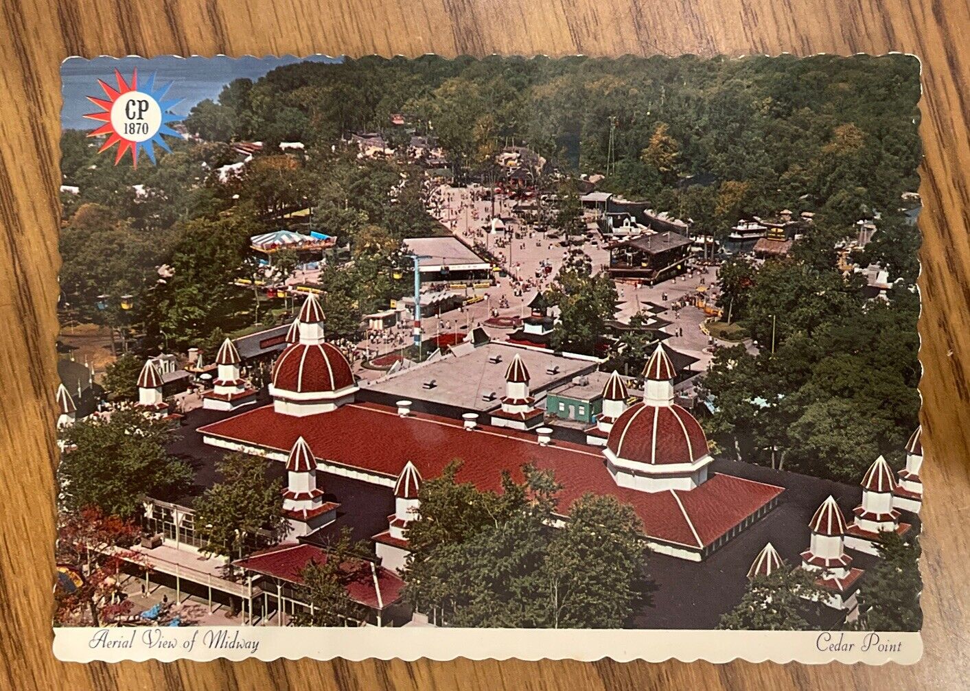 Vintage Cedar Point Arial View Of Midway Postcard Un-used