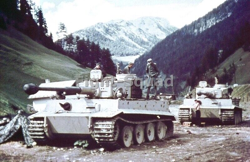 WW2 Picture Photo Austria 1943 Tiger Ausf tank 508 Heavy Panzer Battalion  3886