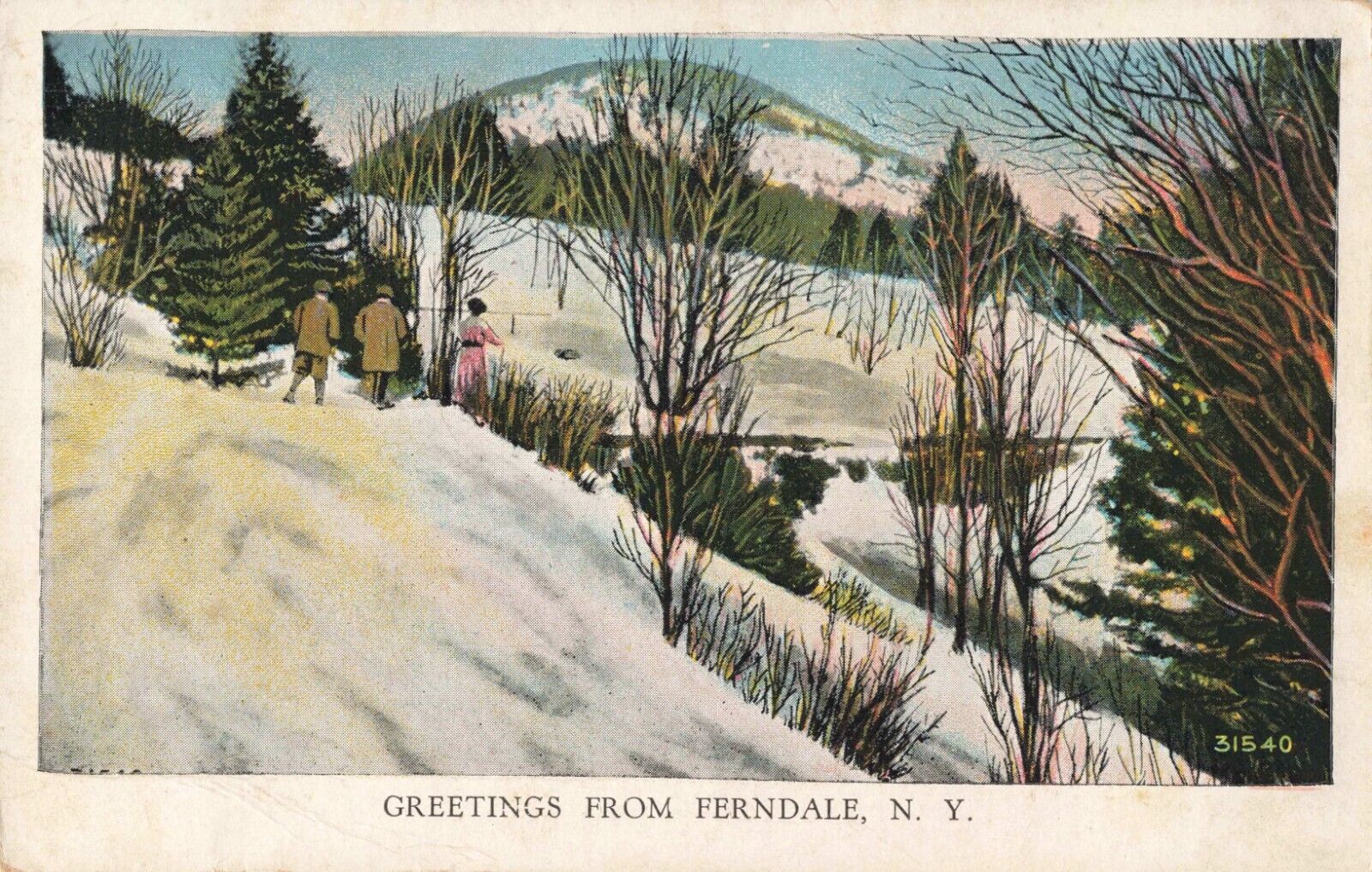Greetings from Ferndale New York NY Winter Snow Mountain c1920 Postcard