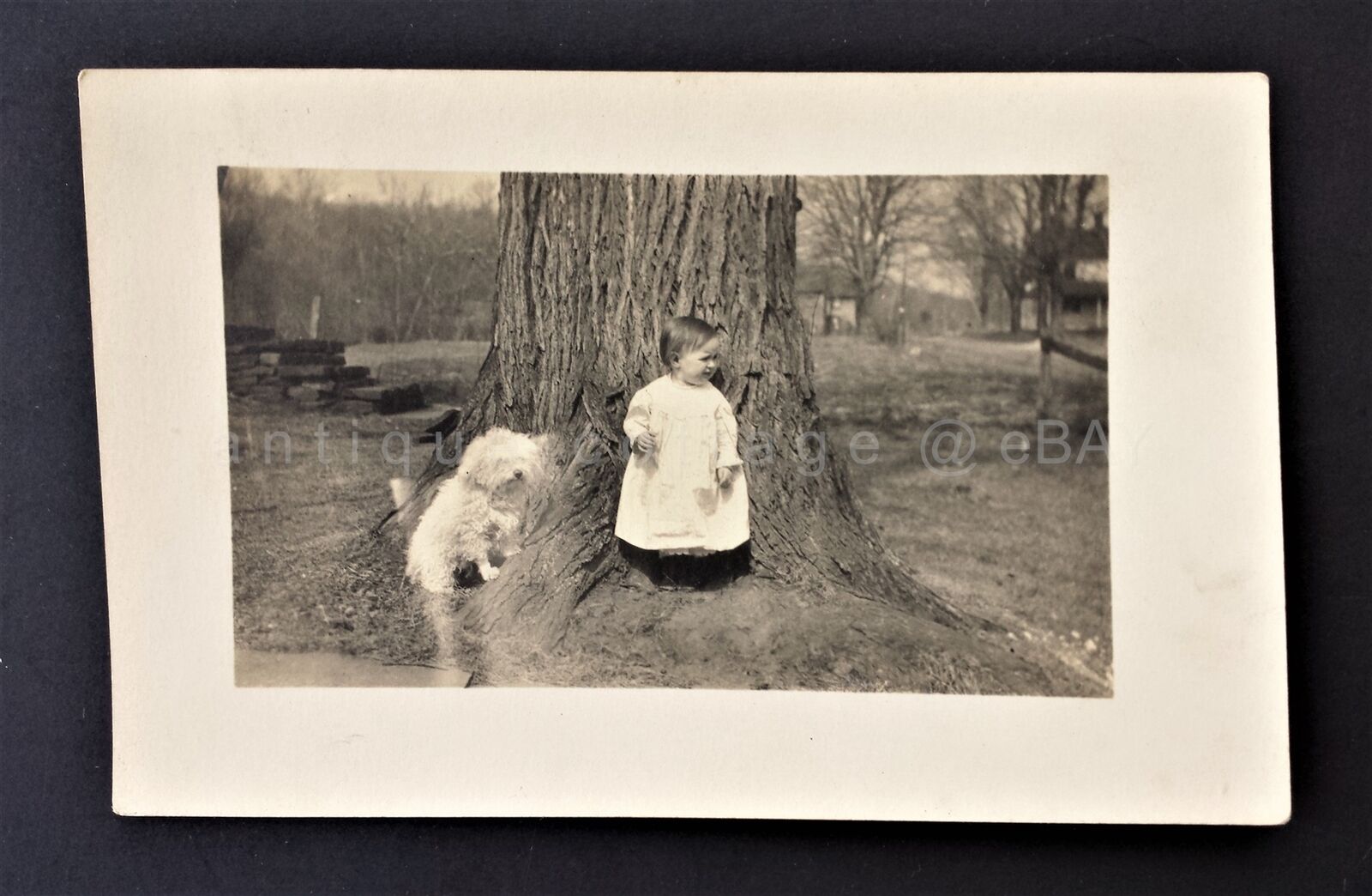 antique BABY CHILD real photo RPPC with DOG adorable victorian b/w