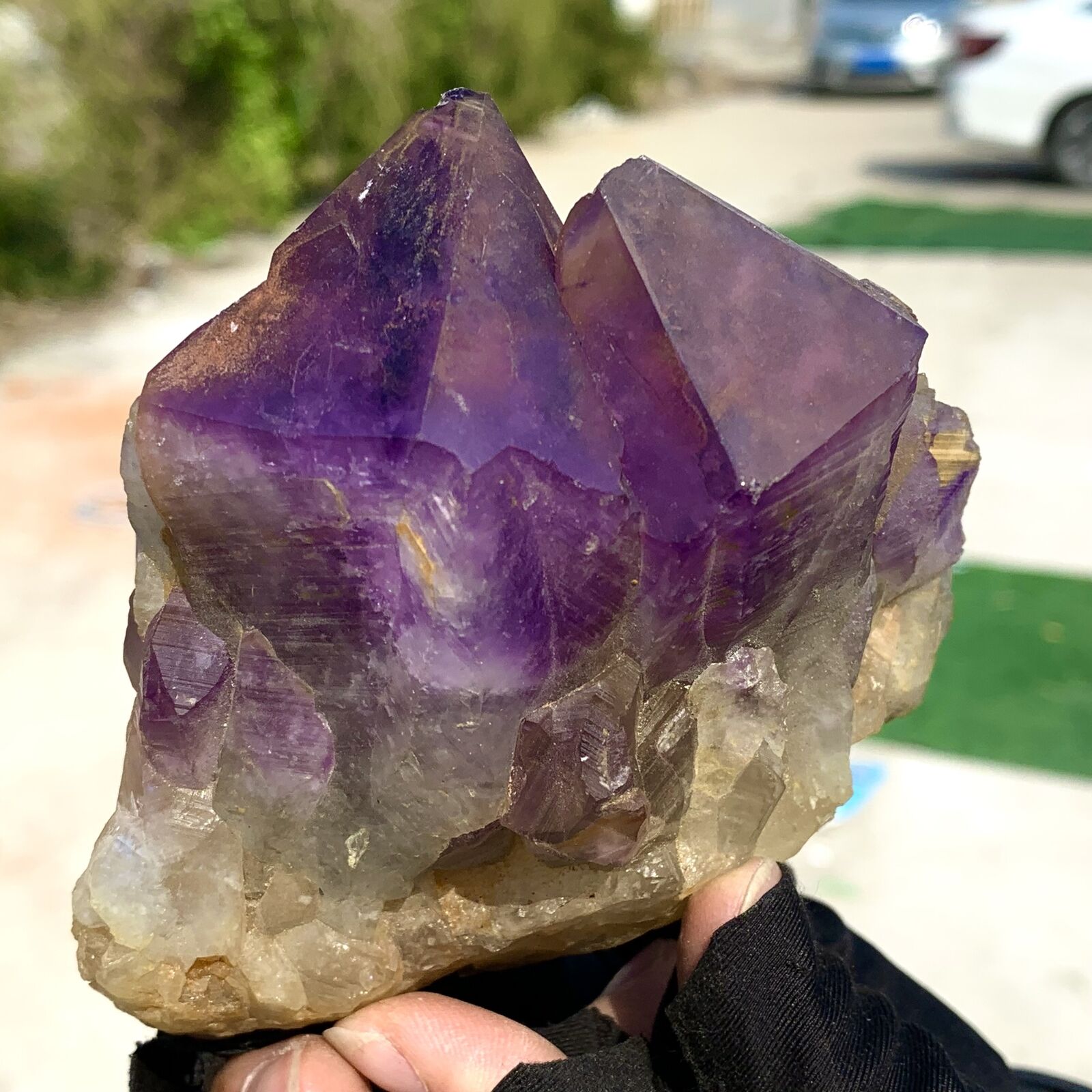 1.17LB Natural Amethyst geode quartz cluster crystal specimen Healing