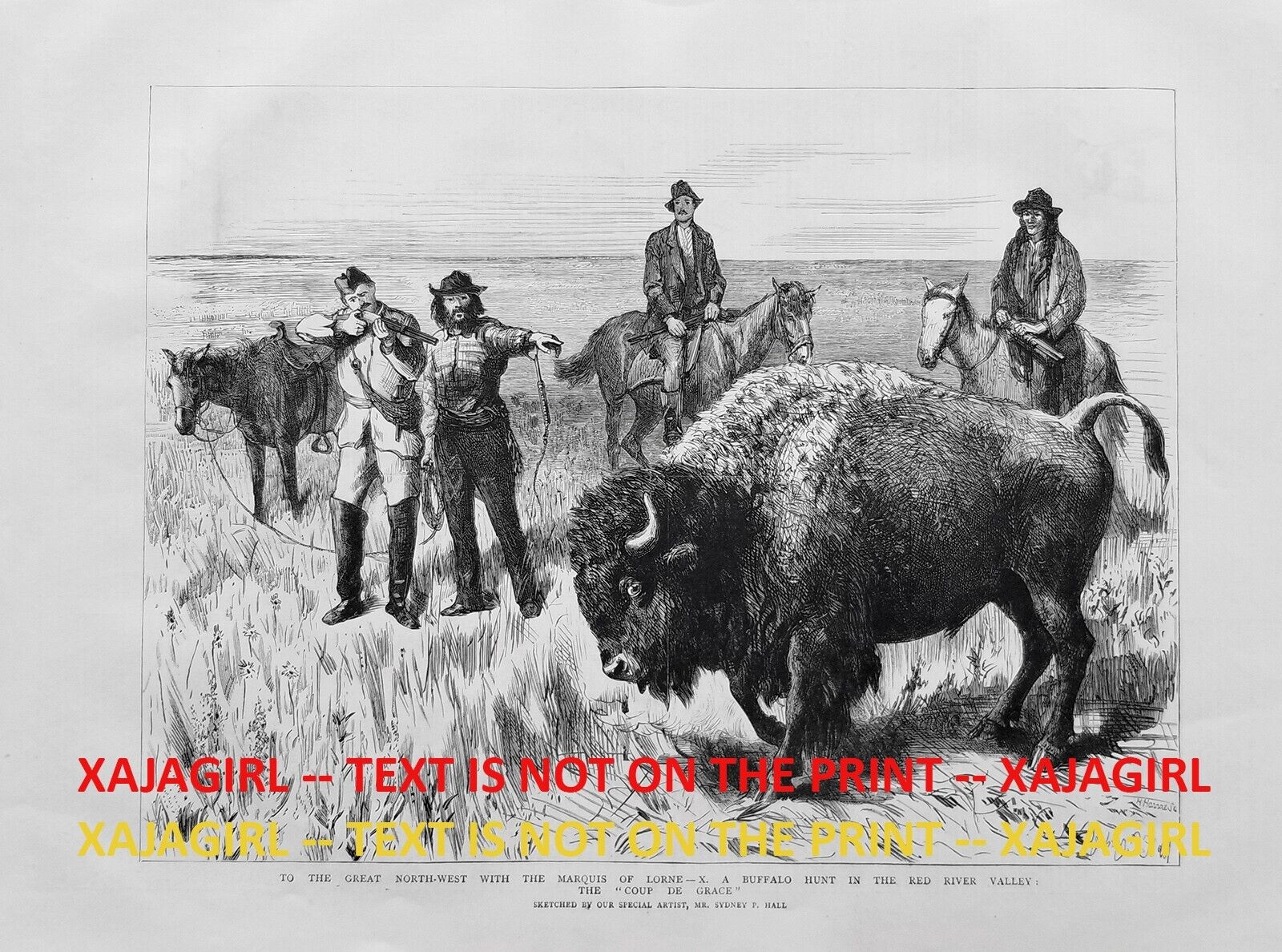 Buffalo American Bison Hunt Red River Valley Manitoba Canada 1880s Antique Print