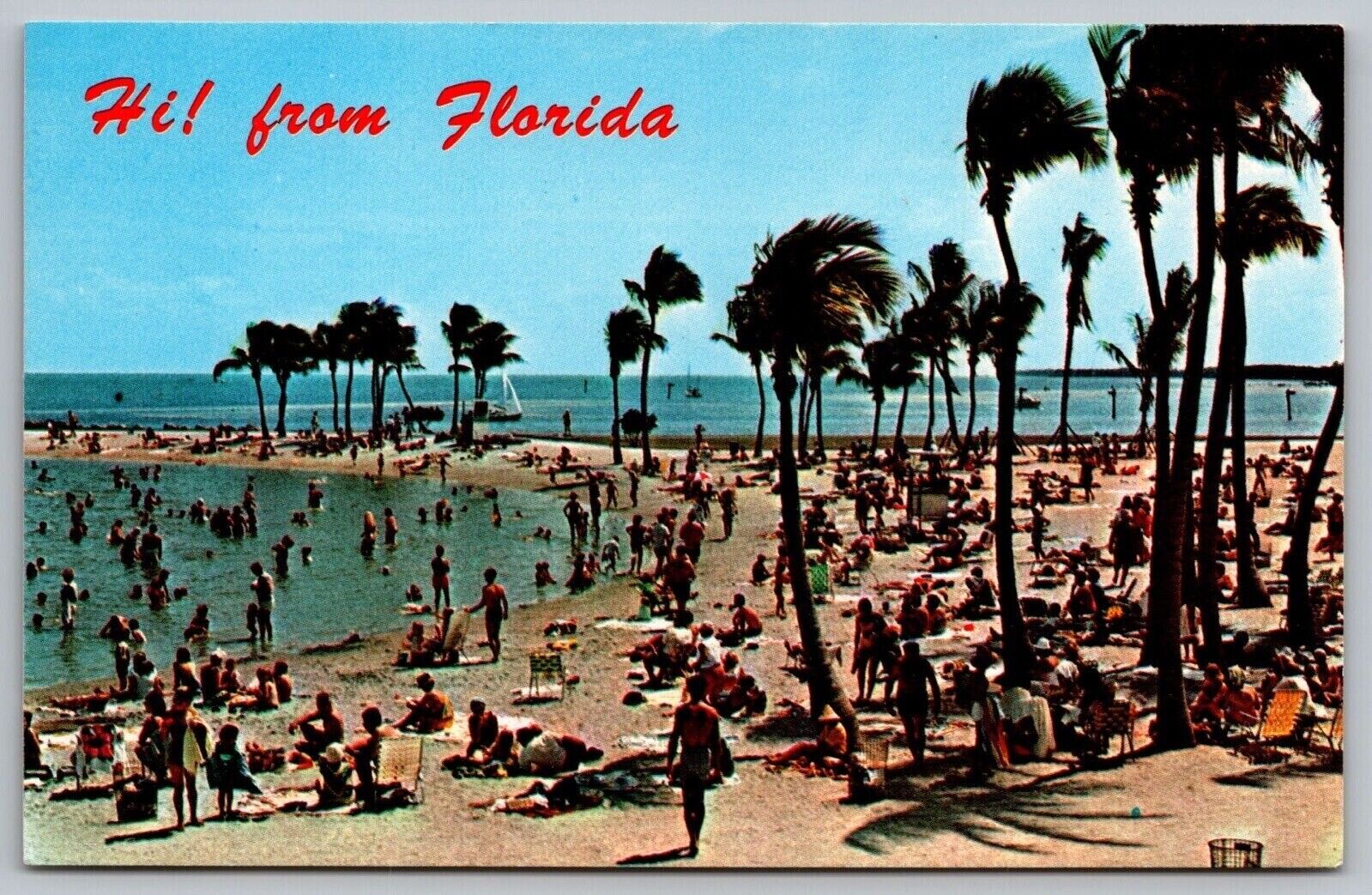 Hi From Florida FL Beach Palms Postcard UNP VTG Koppel Unused Vintage Chrome