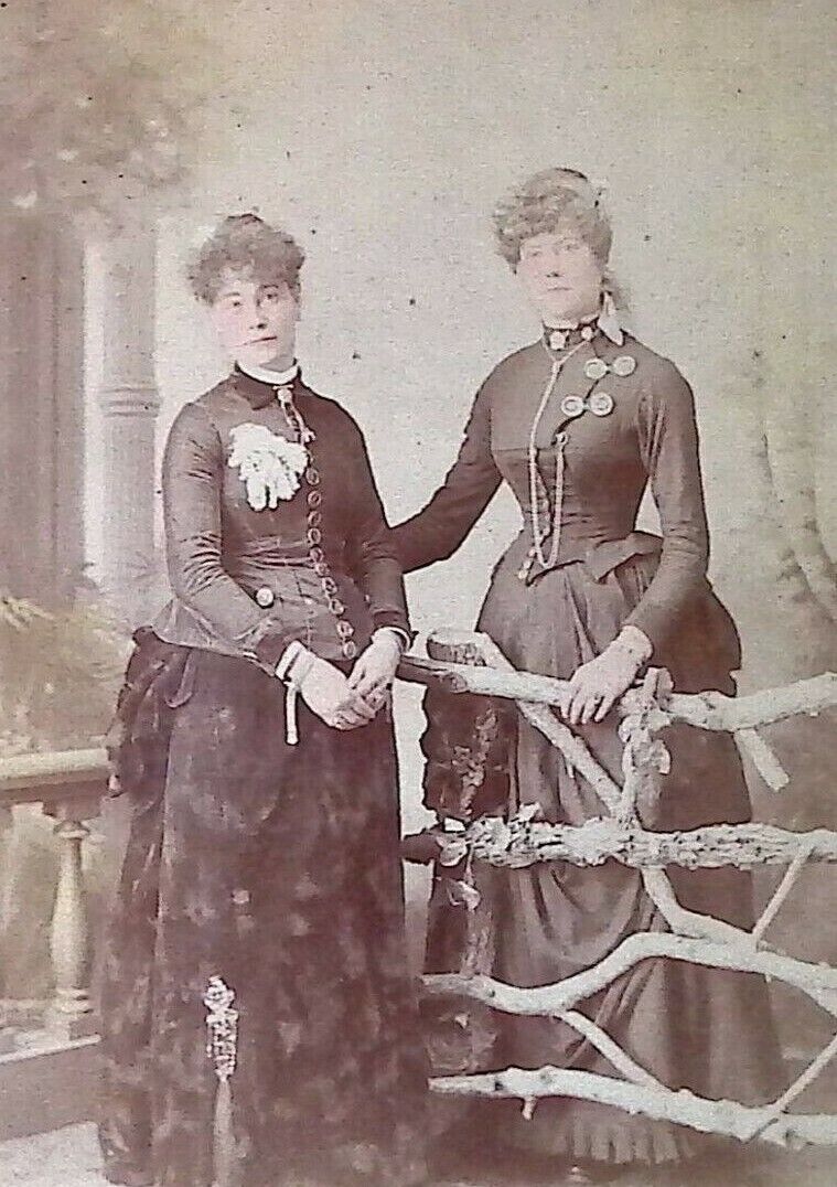 C1880s Hand Tinted Cabinet Card South Bend IN 2 Beautiful Women Corset Dress A36