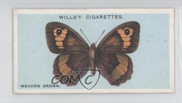 1927 Wills British Butterflies Tobacco Meadow Brown #15 1s8
